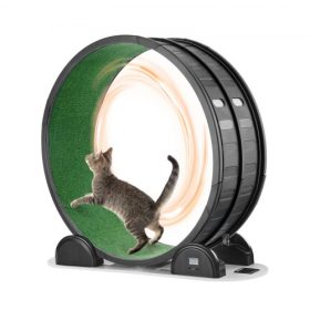   VEVOR macskafutókerék lépésszámlálóval, 40,8 hüvelyk, macskafutókerék fékkel és szőnyegezett kifutópályával, csendes macskafutópad 30 font alatti beltéri macskáknak, macskafutó háziállatoknak, egészség és fitnesz, fekete