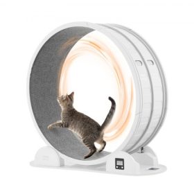   VEVOR macskafutókerék lépésszámlálóval, 40,8 hüvelyk, macskafutókerék fékkel és szőnyegezett kifutópályával, csendes macskafutópad 30 font alatti beltéri macskáknak, macskafutó háziállatoknak, egészség és fitnesz, fehér